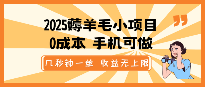 2025薅羊毛小项目，0成本 手机可做，几秒钟一单，收益无上限-副业城