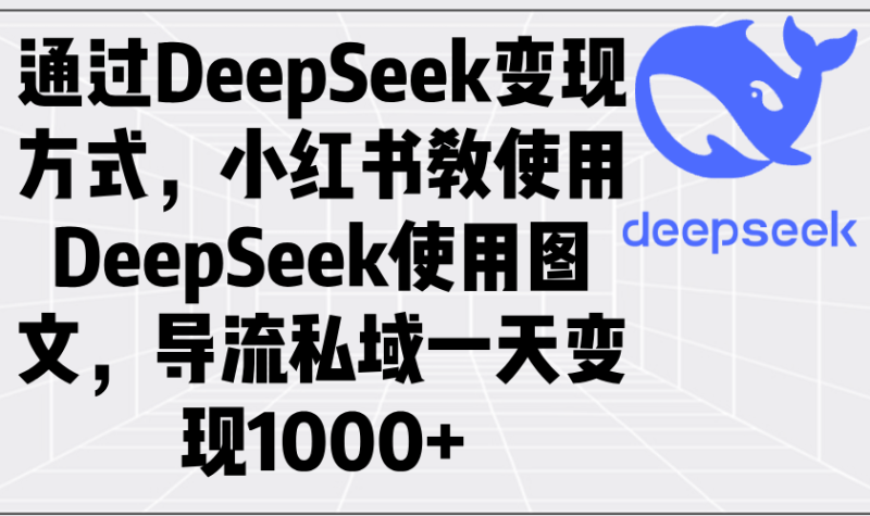 （14179期）通过DeepSeek变现方式，小红书教使用DeepSeek图文，导流私域一天变现1000+-副业城