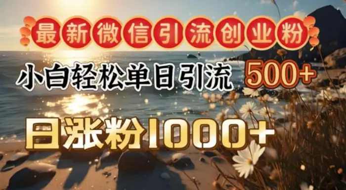 最新微信引流创业粉，小白单日轻松引流500+，日涨粉1000+-副业城