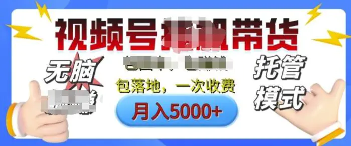 视频号挂J橱窗带货，纯托管模式，日入多张，无需剪辑，无需选品，有账号即可托管【揭秘】-副业城