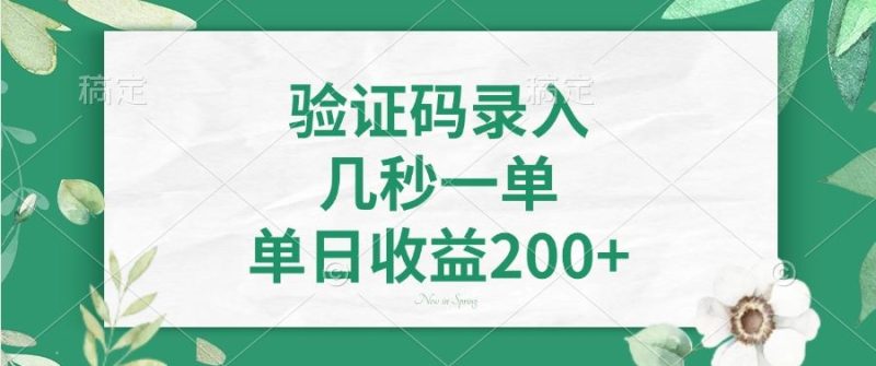 （14221期）验证码录入，几秒一单，单日收益200+-副业城