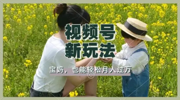 利用车祸意外视频，撸视频号分成收益，轻松月入过W，操作简单，适合宝妈，上班族-副业城