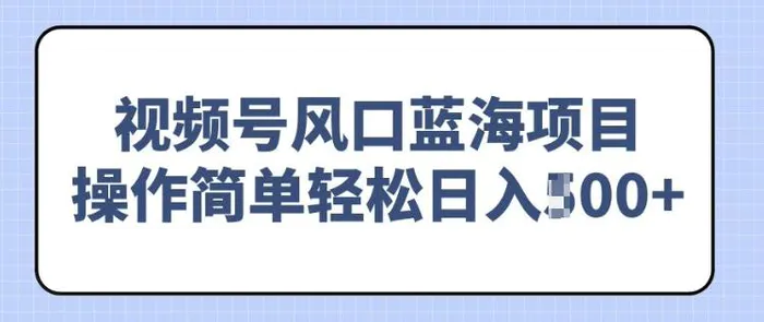 视频号风口蓝海项目，中老年人的流量密码，操作简单轻松日入多张-副业网