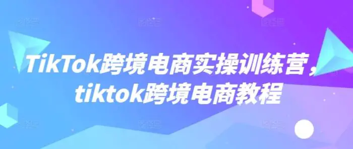 TikTok跨境电商实操训练营，tiktok跨境电商教程-副业网