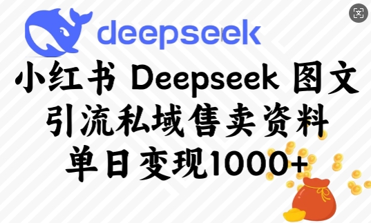 小红书Deepseek图文引流私域售卖资料，单日变现多张-副业城