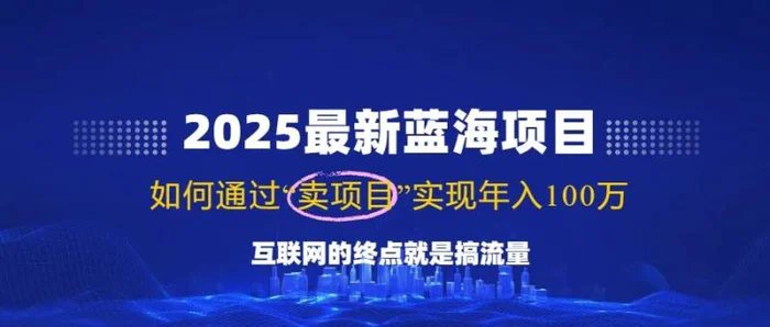 （14305期）2025最新蓝海项目，零门槛轻松复制，月入10万+，新手也能操作！-副业城