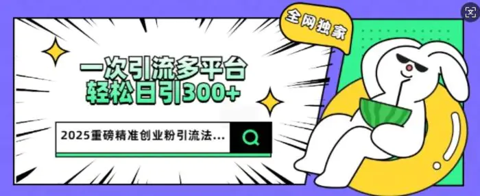 2025重磅全网独家引流法，一次多平台，轻松日引300+精准创业粉-副业城