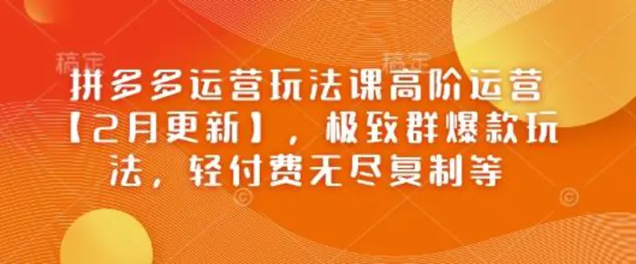 拼多多运营玩法课高阶运营【2月更新】，极致群爆款玩法，轻付费无尽复制等-副业网