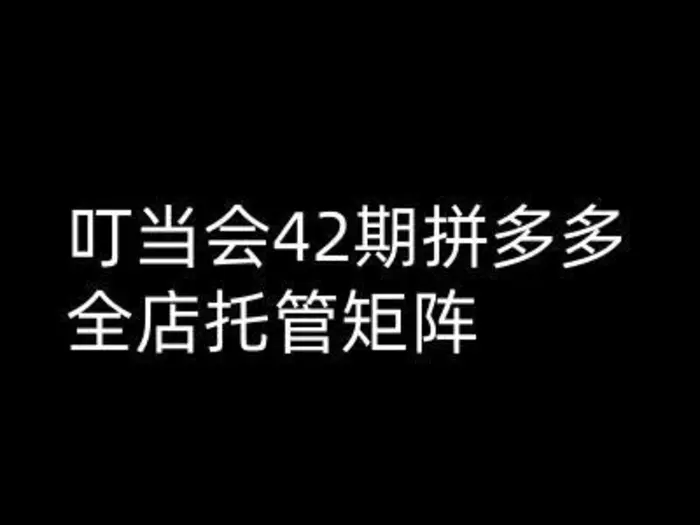 叮当会拼多多打爆班原创高阶技术第42期，拼多多全店托管矩阵-副业城