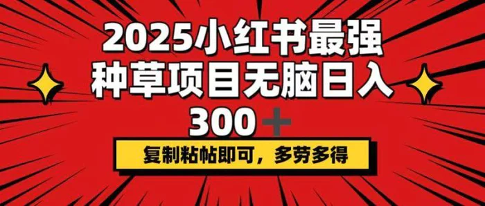 （14375期）2025小红书最强种草项目，无脑日入300+，复制粘帖即可，多劳多得-副业城