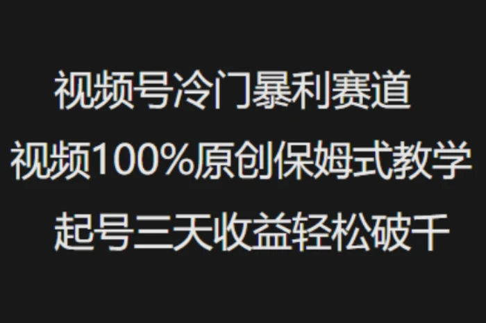 视频号冷门暴利赛道视频100%原创保姆式教学起号三天收益轻松破千-副业网