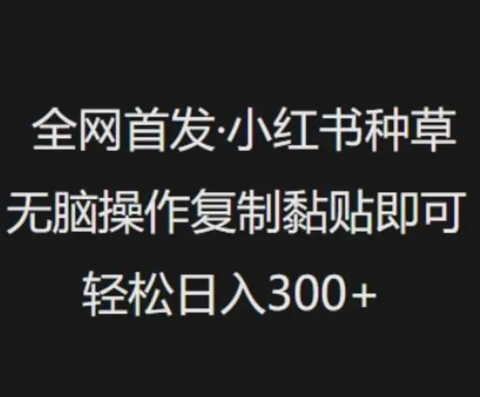 全网首发，小红书种草无脑操作，复制黏贴即可，轻松日入3张-副业城