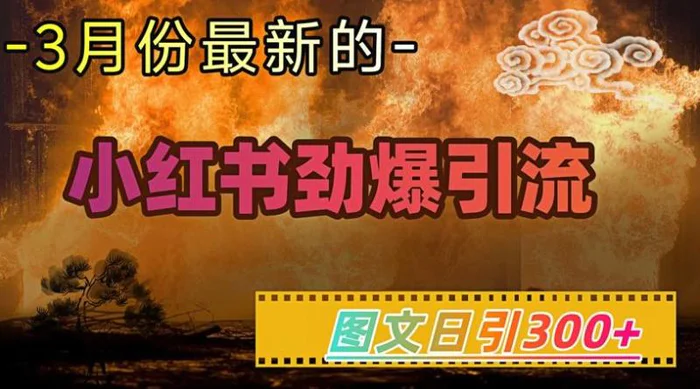 小红书超劲爆引流手段，图文日引300+轻松变现1W-副业城