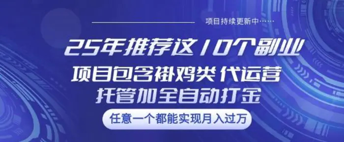25年推荐这10个副业项目包含褂鸡类、代运营托管类、全自动打金类-副业城