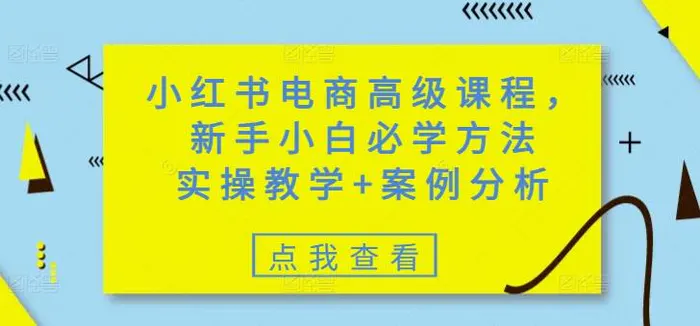 小红书电商高级课程，新手小白必学方法，实操教学+案例分析-副业城