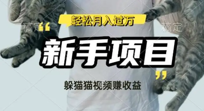 利用老外躲猫猫大赛视频，挣分成收益，操作简单，新手小白，轻松月入过W-副业城