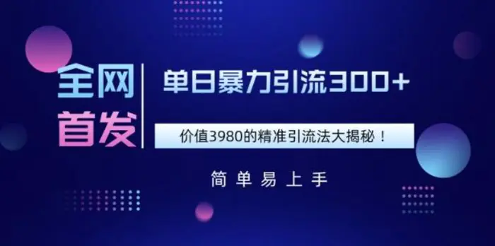 全网首发，价值3980单日暴力引流300+的精准引流法大揭秘-副业城