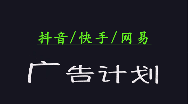 2025短视频平台运营与变现广告计划日入1000+，小白轻松上手-副业网