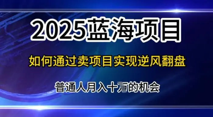 2025蓝海项目，普通人如何通过卖项目实现逆风翻盘，月入10个【揭秘】-副业网
