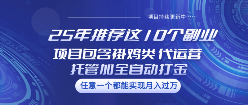 25年推荐这10个副业 项目包含褂鸡类、代运营托管类、全自动打金类-副业城