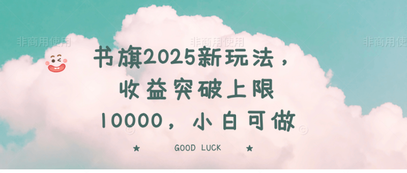 （14519期）书旗2025新玩法，收益突破上限10000，小白可做-副业城