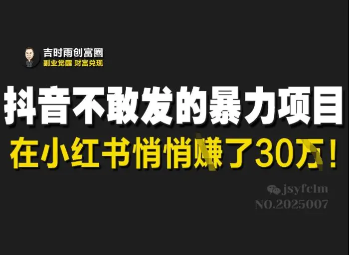 抖音不敢发的暴利项目，在小红书悄悄挣了30W-副业城