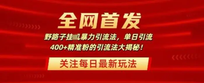 全网首发，野路子暴力引流法，单日引流400+精准粉的引流法大揭秘-副业城