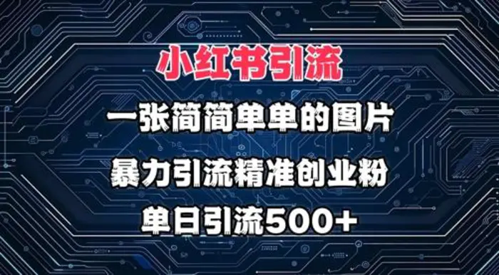 小红书图片打法，利用一张简简单单的图片，暴力引流精准创业粉，单日引流500+-副业网