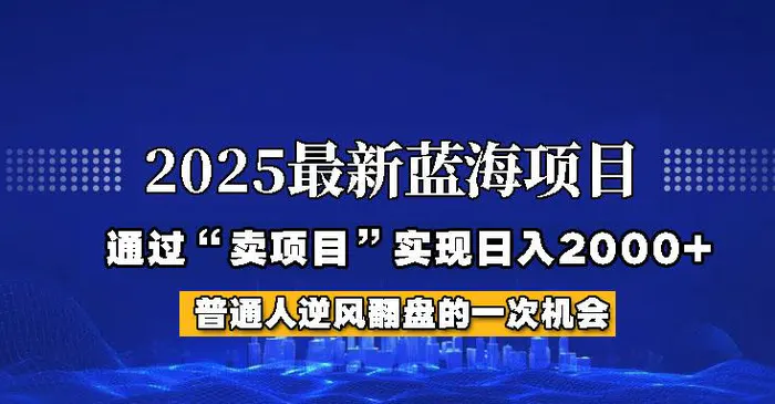 2025年蓝海项目，如何通过“网创项目”日入2000+-副业城