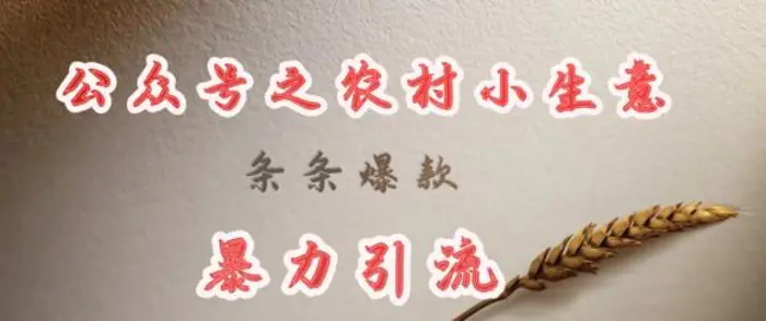 deepseek写农村小项目，条条爆款，暴力引流-副业城