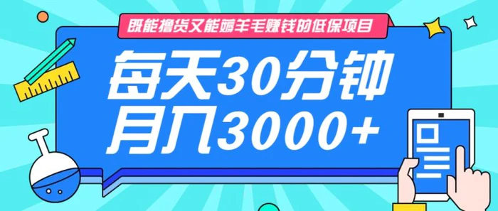 既能撸货又能赚钱的长期低保项目，每天30分钟，多号百分百稳定月入3000+！-副业网