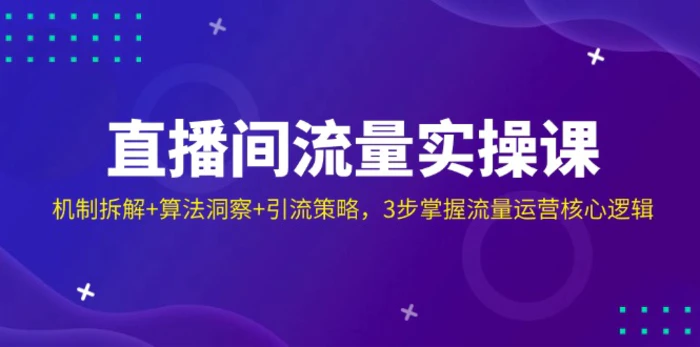 （14122期）直播间流量实操课：机制拆解+算法洞察+引流策略，3步掌握流量运营核心逻辑-副业城