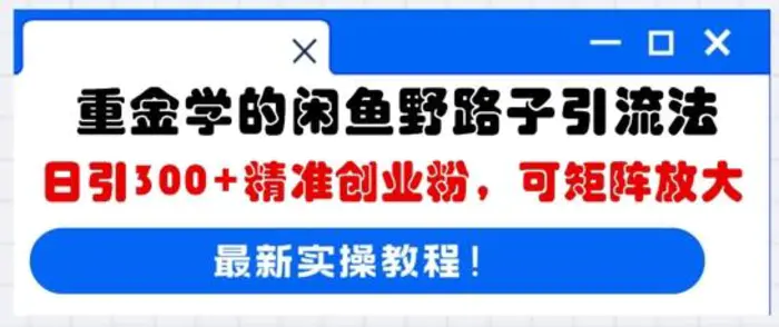 重金学的闲鱼野路子引流法,日引300+精准创业粉,可矩阵放大-副业城