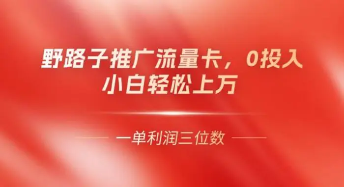 0门槛推广流量卡，一单收益上百，0投入，小白月入过W-副业网