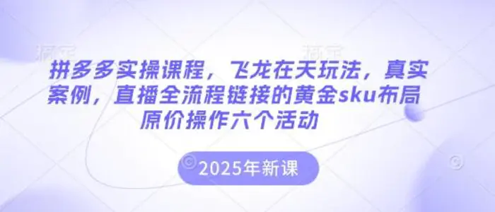 拼多多实操课程，飞龙在天玩法，真实案例，直播全流程链接的黄金sku布局原价操作六个活动-副业网