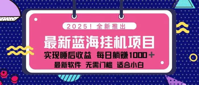 （14216期）2025最新挂机躺赚项目 一台电脑轻松日入500-副业网