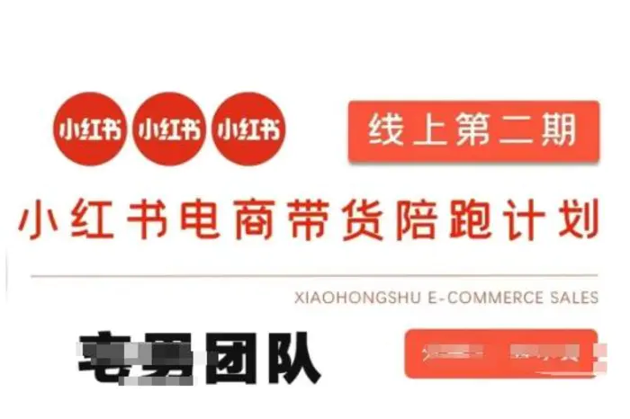 小红书电商带货课2期，月利润20个的小红书电商的有货源，无货源，虚拟产品，付费投流等整套玩法-副业城