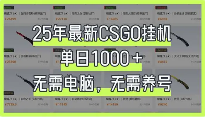 （14178期）25年最新CSGO挂机系统，单日1000+，无需电脑，无需养号，0基础可上手-副业城
