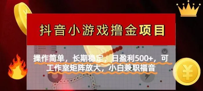 （14290期）【抖音小游戏发行人计划项目】操作简单，长期稳定，日盈利500+，可工作…-副业城