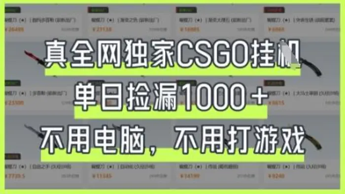 真全网独家CSGO挂G，单日捡漏1k+-副业网