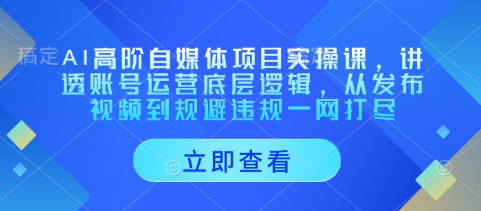 AI高阶自媒体项目实操课，讲透账号运营底层逻辑，从发布视频到规避违规一网打尽-副业网
