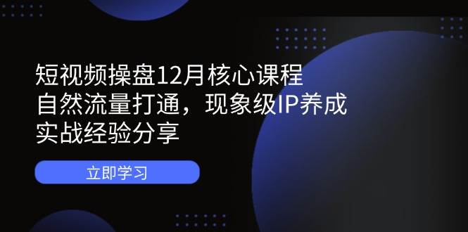 短视频操盘12月核心课程：自然流量打通，现象级IP养成，实战经验分享-副业网
