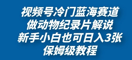 视频号冷门蓝海赛道，做动物纪录片解说，新手小白也日入3张，保姆级教程-副业网