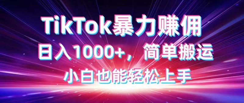 （14402期）TikTok搬运暴力赚佣，日入1000+，简单搬运，小白也能轻松上手-副业网