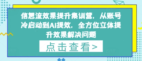 信息流效果提升集训营，从账号冷启动到AI提效，全方位立体提升效果解决问题-副业网