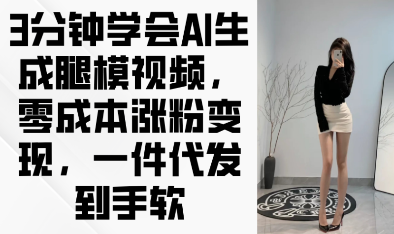 （14537期）3分钟学会AI生成腿模视频，零成本涨粉变现，一件代发到手软-副业网