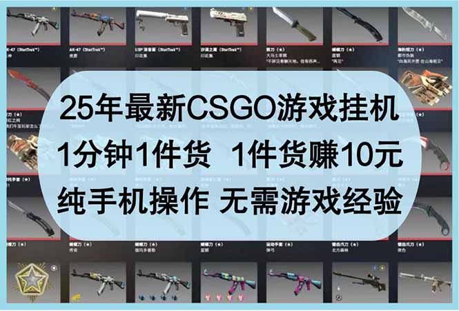 （14439期）25年最新CSGO游戏挂机，1分钟1件货，1件货赚10元 纯手机操作 无需游戏经验-副业城