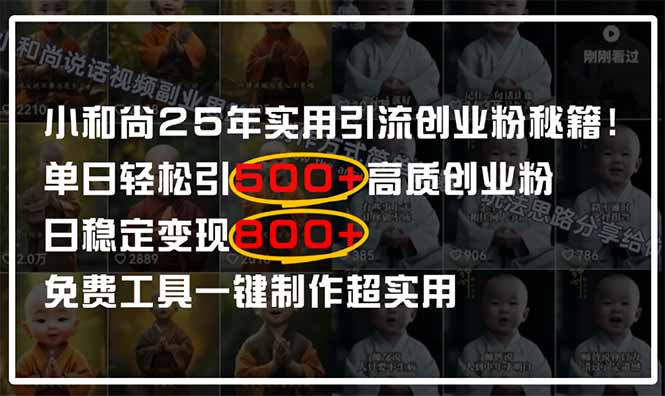 （14436期）小和尚2025年实用引流秘籍！单日轻松引500+高质量创业粉，日变现800+，…-副业城