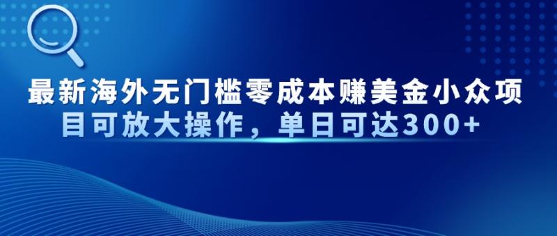 （14542期）最新海外无门槛零成本赚美金小众项目可放大操作，单日可达300+-副业城