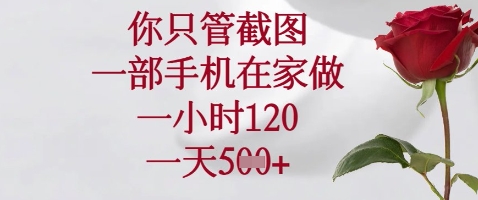 你只管截图，一部手机在家做，苹果安卓都可以，一小时120，一天5张+-副业城